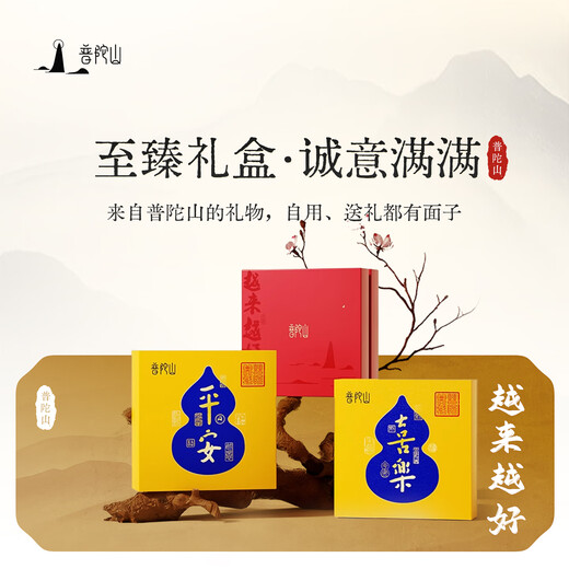 Putuo Mountain Obsidian Pendant Wushi Brand Pendant Native Buddha Amulet Necklace Birthday Gift for Men