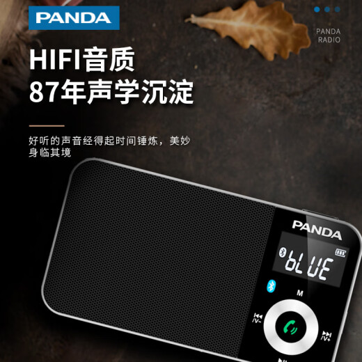 熊猫（PANDA）6210蓝牙收音机老人专用便携式多功能小型袖珍FM调频广播老年人可充电插卡小音箱随身听新款播放器 黑色【蓝牙/插卡/锂电池】
