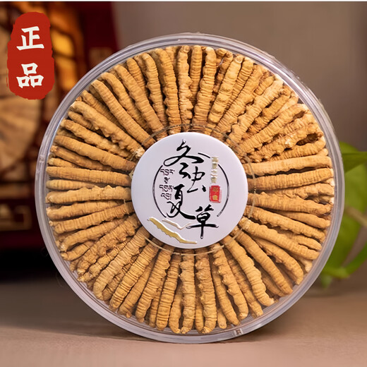 Cordyceps sinensis, caja de regalo de Cordyceps de gran altitud en áreas tibetanas, regalo para su propio uso, 3 palos 1 gramo [100 Box de regalo exquisito]