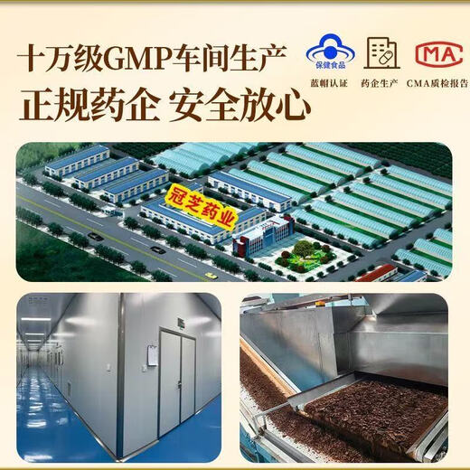 Yiniankang Blue Hat Certified Breaking Wall Ganoderma Spore Pulver Authentisch Changbai Mountain Red Ganoderma Spore Pulver verbessert die Immunität 2 Dosen 500 g
