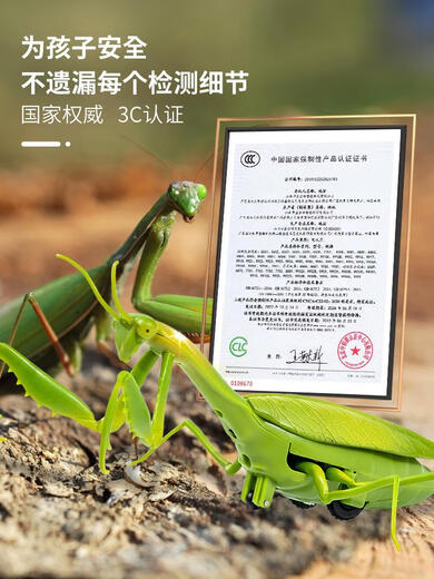 遥控螳螂电动仿真玩具整蛊神器蟑螂男孩会动的蜘蛛网红爬行小动物 经典版-遥控瓢虫红色款9922+螺丝 豪华版另赠36粒电子