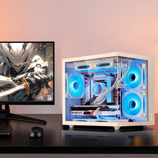 Xingu graphics cardless host i5 14600KF/12600KF/13400F/12490F complete machine pure white sea view room computer host desktop gaming computer assembly optional configuration three i5 12600KF graphics cardless host