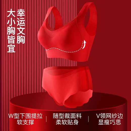 Zodiac Year Red Underwear Underwear Women Wedding Bride Festive Big Red Seamless Women's Underwear Tube Bra Set Set Red Boxed L 100-120Jin Jin is equal to 0.5 kg