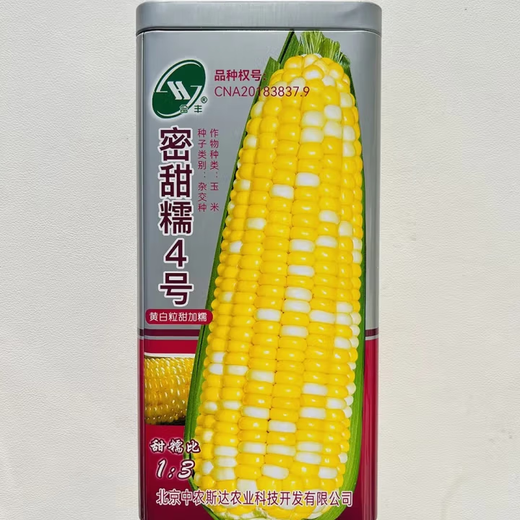 白甜糯玉米种子高产白糯玉米非转四季播国审农家超甜加糯玉米种子 龙育糯1号玉米种子【原装200克1袋