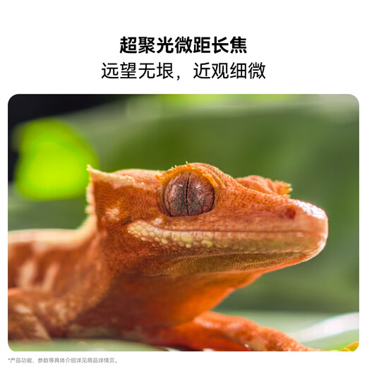 Huawei Pura 80 Pro Новый флагман Huawei Mobile Phone P80pro Один дюйм Основной фотографии персонализированной цветовой карты AI Ship Assist Composition Huawei Hongmeng Смартфон Слазированный белый белый цвет 12 ГБ+512 ГБ официальный стандарт