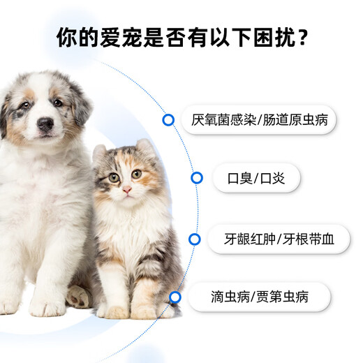 New Chongzhikang Pet Metronidazole Tablets Dogs and Cats Bad Breath Stomatitis Toothache Gingivitis Redness and Swelling Periodontitis Oral Ulcers Oral Anti-inflammatory Metronidazole Tablets for Pet Cats and Dogs