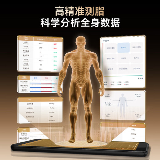 DORD德国品牌智能体脂秤八电极体重秤家用称重秤人体体脂秤减肥专用精准体重体脂一体秤心率检测 八电极尊享版-星际黑