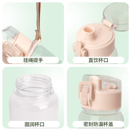
Chengliu Tulip Direct Drinking Cup Literary Creative Simple Water Cup Sentimental Girls Style 530ml Portable High Temperature Resistance Plastic Direct Drinking Cup 530ml WT3294 Tulips