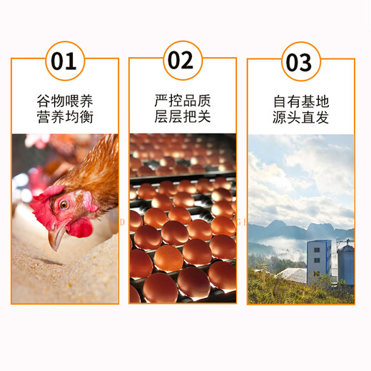Yipinou Lutein fresh eggs 30 pieces/net weight 3Jin Jin equals 0.5kg Antibiotic-free Guizhou good taste Straight from the source Yipinou Lutein fresh eggs 30 pieces/net weight 3Jin Jin equals 0.5kg Antibiotic-free Guizhou good taste Straight from the source