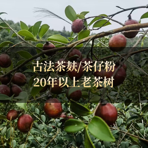 Tea seed cake, camellia oil dried flakes, natural traditional tea bran shampoo and conditioner, dishwashing and decontamination residue tea dried powder for home use, loose fine powder - 1500g delivered with 10 filter bags