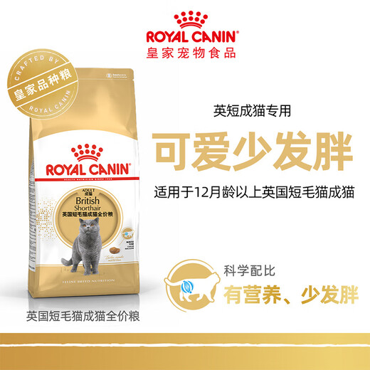 Royal Cat Food British Shorthair Adult Cat Food BS34 General Food Rich Hair and Strong Body Staple Food Grade General Food 1 Year Old and Over BS34 British Shorthair Adult Cat 2kg
