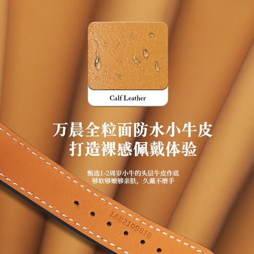 Wanchen Longines watch strap men's genuine leather suitable for famous craftsman Concas magnificent moon phase flying wing buckle dark brown 20mm