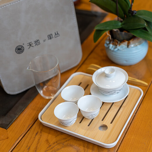 Tianchi 1392 Tianchi Tea Industry Travel Tea Set Phoenix Dantong Tea Kungfu Tea Set the Plate Fair