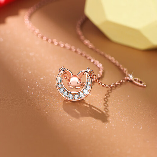 Farcoko Moon Bunny Necklace for Women 2023 New Light Luxury Zodiac Sign Clavicle Chain Gift for Girlfriend Cute Rabbit Necklace