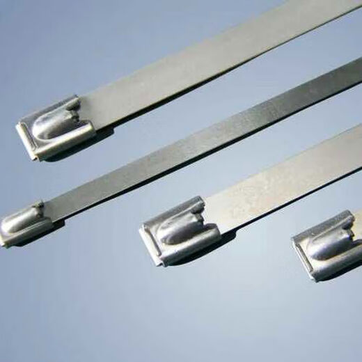 304不锈钢扎带自锁10mm12MM金属耐高温扎丝抱箍高强度户外拉紧器 12200MM100根1包