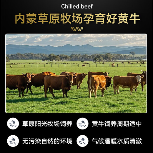 月盛斋【冰鲜牛肉】国产牛腩1斤 内蒙牛肉鲜肉 中华老字号