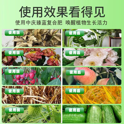 【水果专用型】快速膨果增甜增产提质促花果树种果氮磷钾复合肥 【水果专用型】3斤