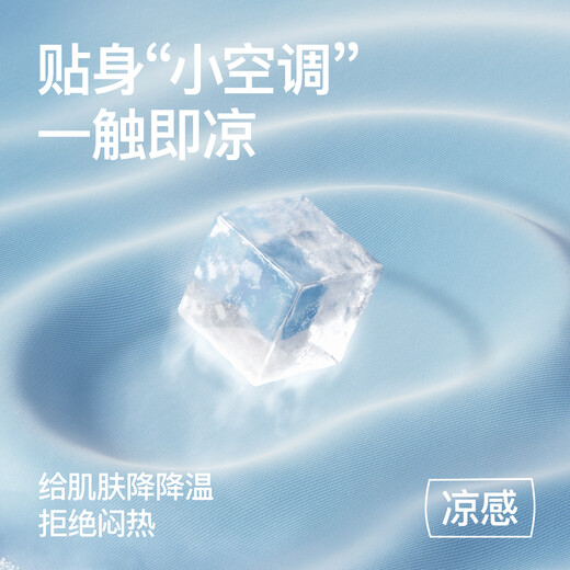 SecretWorld Shark Pants Women's Autumn and Winter Warm Plus Velvet High Waist Belly Slimming Buttocks Shaping Shape and Will Not Fall Out of Style Spring and Autumn Outerwear Bottoming Yoga Pants