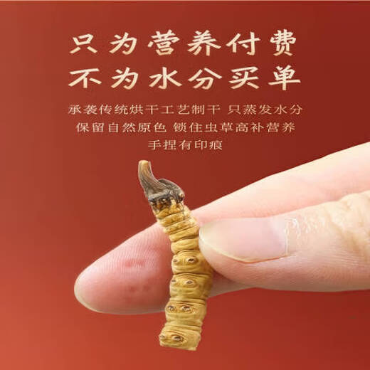 
Beijing Tongrentang Pang Donglai Tong Quality [Support Quality Inspection] 10 grams of large broken grass authentic Cordyceps sinensis cordyceps sinensis cordyceps sinensis 20 grams packed with two grams 22 grams