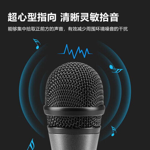 森海塞尔（SENNHEISER）E825S 专业直播动圈麦克风主播演讲唱歌话筒 E825S+卡农母转6.35(3米)