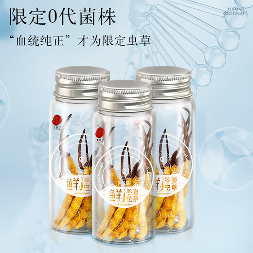 Tongrentang Brand Beijing Tongrentang Fresh Cordyceps Cordyceps Fresh Cordyceps Gift Box Unbreakable Grass Gifts for Elders 1 Box 30G 4A 30 Fresh Cordyceps 1-1.3g/piece