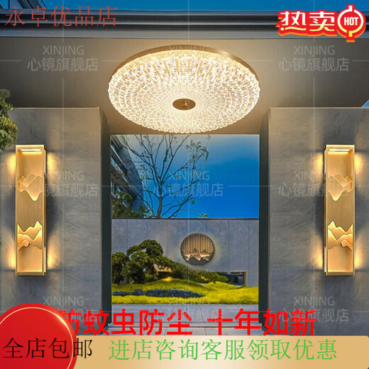 心镜全铜户外吸顶灯别墅大门口门前灯室外过道阳台灯防蚊虫庭院灯 X3895-400/圆形/三色可调