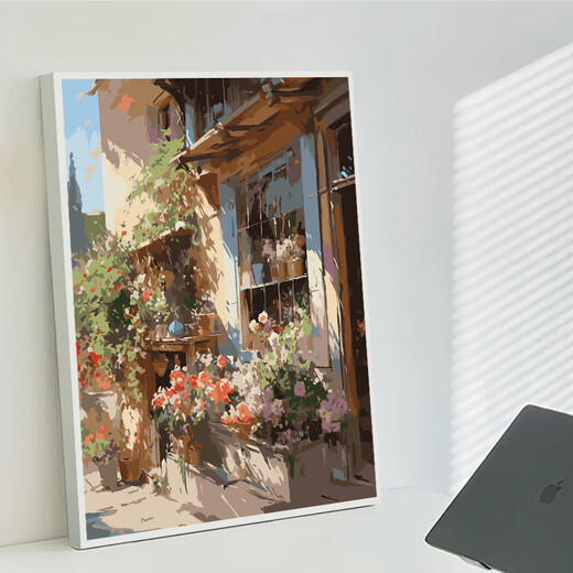 街边咖啡屋数字油画diy填充填色手工绘画画风景丙烯油彩画装饰画 qx15054 30*40cm加厚实木内框 高亮颜料+油画布+多支