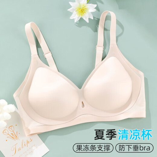 雅黛俪（ALDOLA）轻薄文胸夏季清凉聚拢美背无痕大胸显小隐形果冻条软支撑 裸肤粉 L