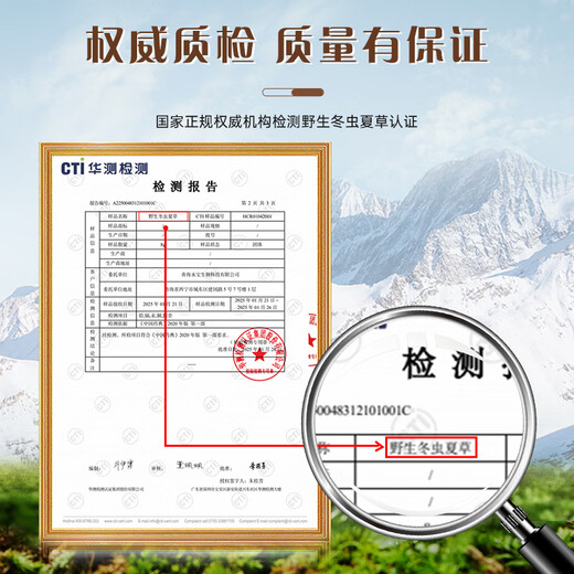 昭鹰之峰【野生】冬虫夏草 西藏那曲高海拔头期新干虫草 补品长辈礼物礼盒 那曲野生4根/克 40根 藏韵礼盒装【店铺热销】