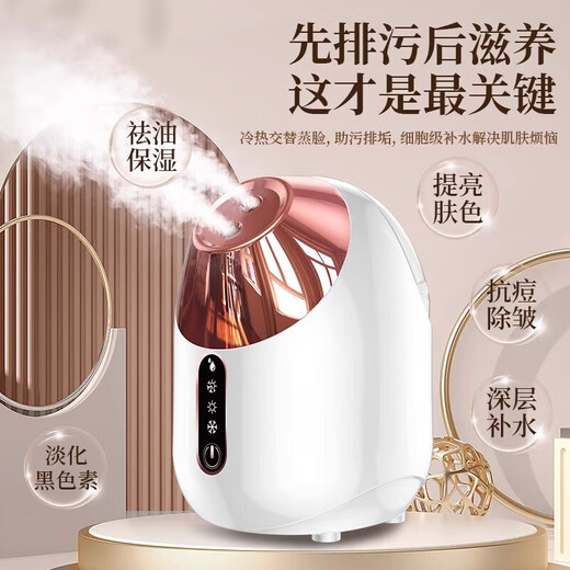 MGXEK German facial steamer, hydrating instrument, nano-spray artifact beauty instrument, facial hot spray steamer, household hot spray facial steamer, portable hydrating spray for beauty salons, luxury powder - hot and cold, sensitive skin adaptation + fine care