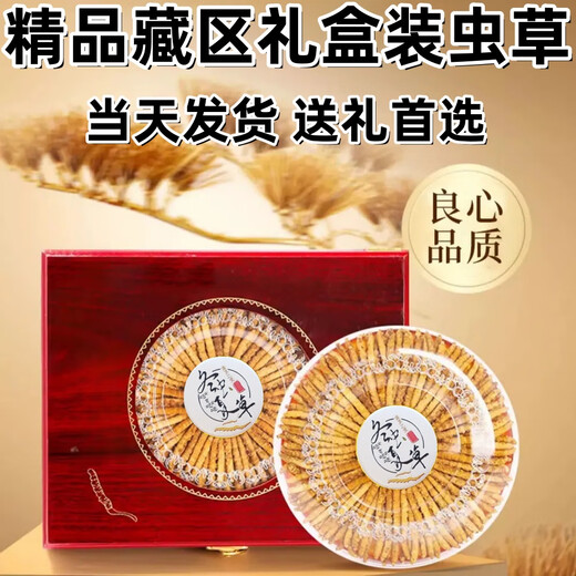 冬虫夏草礼盒装精品藏区虫草当天发货送礼首选正宗雪域冬虫夏草 西藏那曲高海拔虫草4条1克100条