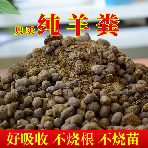 【1396人好评】羊粪发酵有机肥纯羊粪蛋颗粒羊粪肥蔬菜花卉果树阳 高温堆积发酵羊粪肥粉末30斤 纯