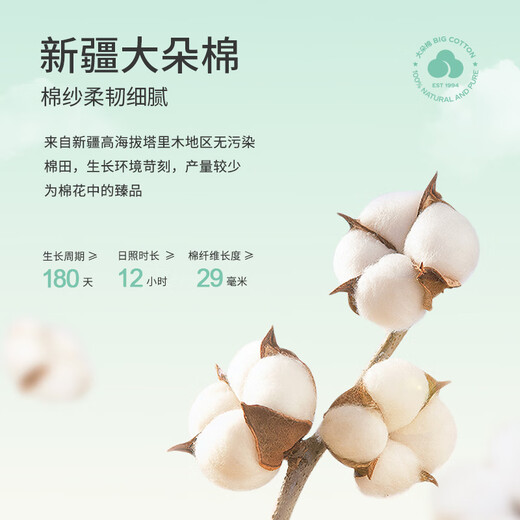 新一步七分袖九分裤女款睡衣V领印花大码开衫透气家居服套装 S4839-琉璃橙 M