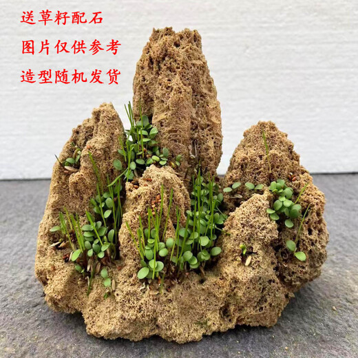 Fine small water stone bonsai rockery absorbent stone micro landscape decoration strange stone ornaments natural rough stone rust stone 5-8 cm gravel 5 pieces