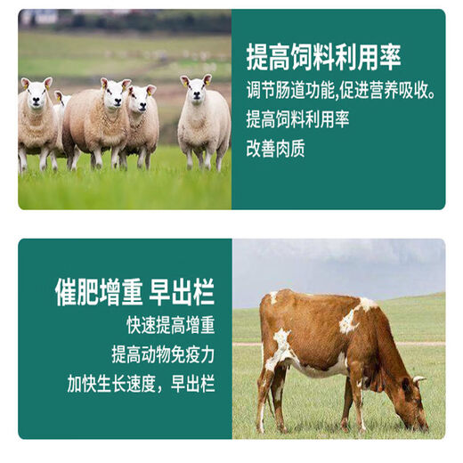 OIMG 5% cattle and sheep premix breeding cattle and sheep growth fattening ruminant special mutton sheep feed additive feed 5% ewe *Yang Debao ewe premix 1 pack-manufacturer direct delivery