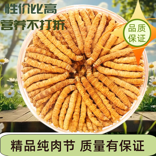 Cordyceps Sinensis Big Broken Grass Pure Festival Festival de viande abordable Authentique Big Broken Grass 50G Boîte cadeau pour un cadeau pour votre propre usage. Festival authentique de la viande fine à Nagqu, Tibet 10G