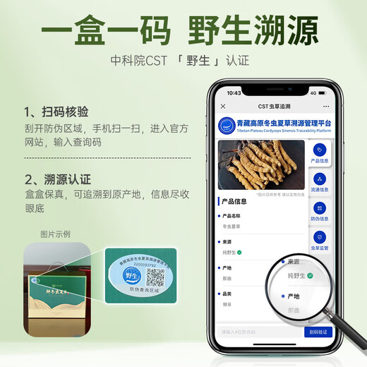 Guokuntang [Chinese Academy of Sciences Traceability] Fresh Cordyceps sinensis Nagqu, Tibet. Wild first-stubble fresh Cordyceps gift box Nagqu fresh grass 0.5-0.6g/root 30 roots [Excellent value for monthly payment]