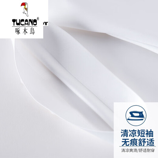 啄木鸟（TUCANO） 白衬衫男短袖免烫弹力商务正装工作服夏季纯白色半袖衬 6187D 38