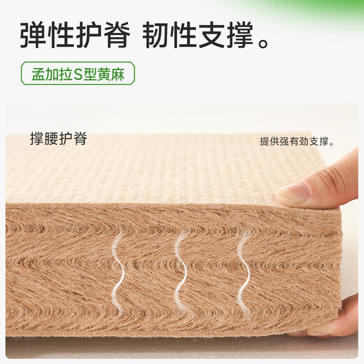 Ma Master Double Simmons Mattress S-shaped Jute Waist Support Offline Same Style Bean Sprouts 3.0 1.5*2 Meters Harder Back Protector