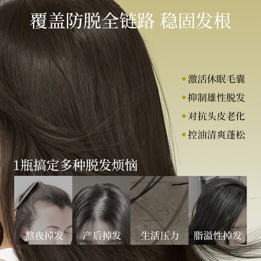 Pu Zhi Purzeal Mulin Sichuan Ingwer Anti-Verlust-Shampoo starke, feste und wütende Haarölkontrolle Flauschiger Shampoo 400 ml