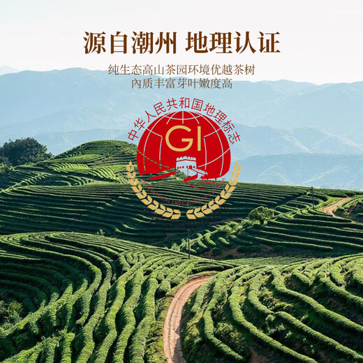 Zhongling Phoenix Dantong Duck Shit 2025 Spring New Tea Oolong Class 1 Chaozhou Gaoshan Self-drinking Gift 500g Gift Box Pack
