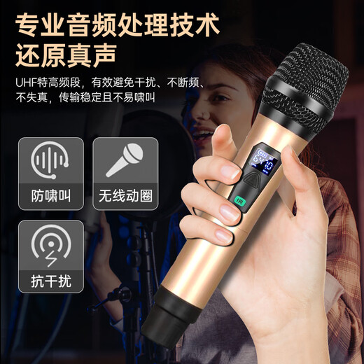 HYUNDAI现代家庭影院点歌机KTV音响套装大功率功放卡拉ok家用点唱k歌设备客厅会议室卡包音箱 【经典版】家庭KTV【升级金属话筒】