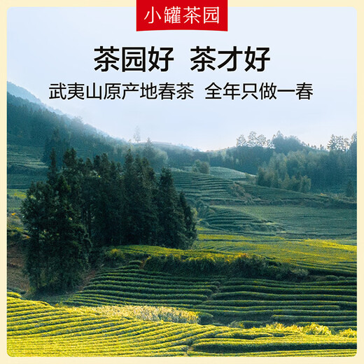 小罐茶园金标系列 茶叶礼盒 乌龙茶 武夷山大红袍圆罐装60g 60g*1罐