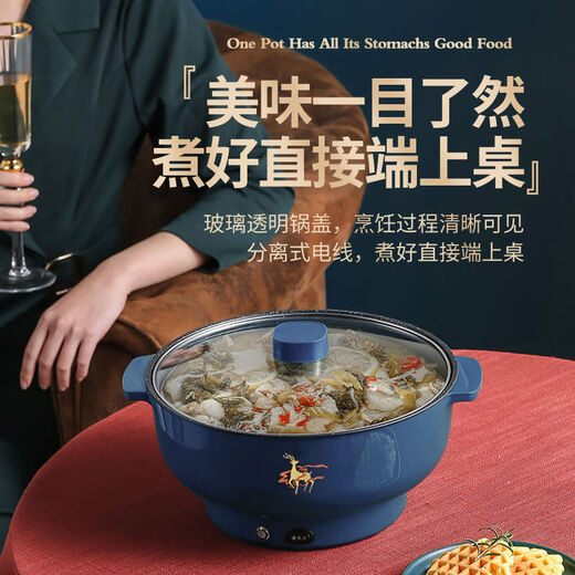 WESTT RIVER exports German electric hot pot for household all-in-one cooking, electric wok, multi-functional cooking pot, steaming, frying and non-stick white old double-eared pot 0cm 2.5L anti-leakage (non-stick pot) for frying and rinsing, for 1-3 people 20