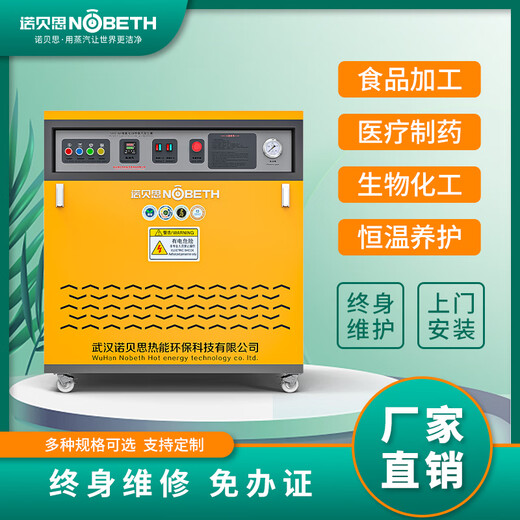 Nobest commercial steam generator AH9kw road and railway bridge maintenance fully automatic energy-saving electric steam boiler steam generator