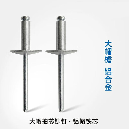 大帽抽芯铆钉大帽檐圆头大帽沿拉铆钉车厢大扁头拉铆钉大头铝拉钉 4*12*大帽12250只