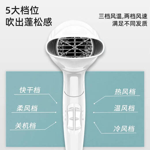 飞科吹风机家用负离子护发宿舍用学生可折叠大功率不伤发电吹风筒 绿色 博锐ph1628飞科fh6296