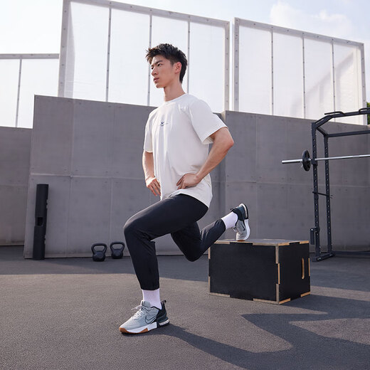 Nike men's air cushion shoes spring training shoes NIKE AIR MAX ALPHA TRAINER 6 FQ1833 009 light soot/coal black/black/rubber medium brown 42