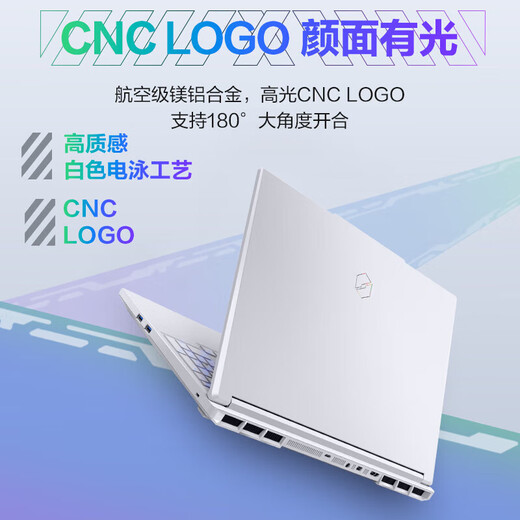 Mechanical Revolution Aurora