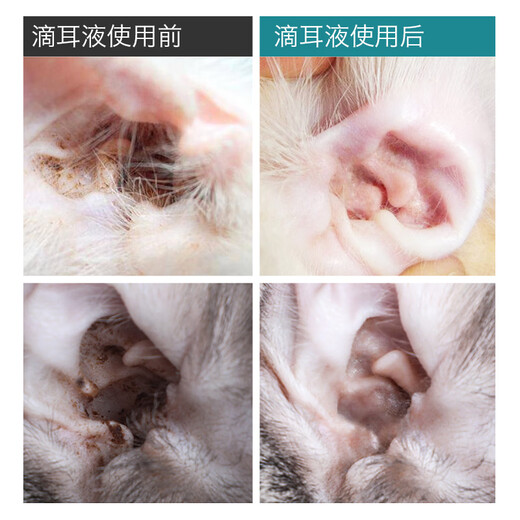 Yamu cat ear mite special medicine otitis fungus ear drops dog ear cleaning anti-inflammatory ear odor and ear itching ear cleaning solution buy 2 shots of 3 medicinal ear drops + cotton swabs